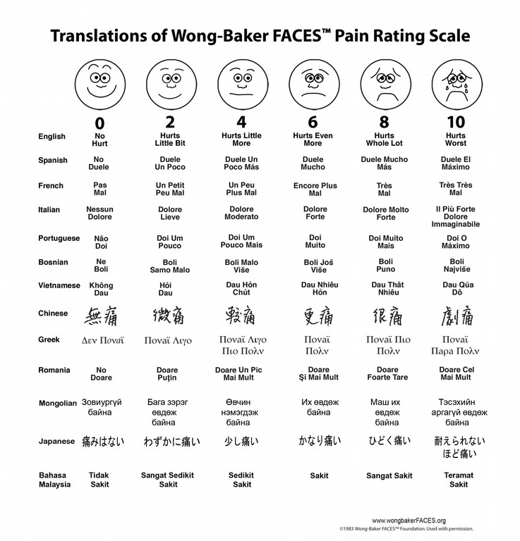 통증평가척도(NPS,FLACC,CNPS,FPRS) : 네이버 블로그