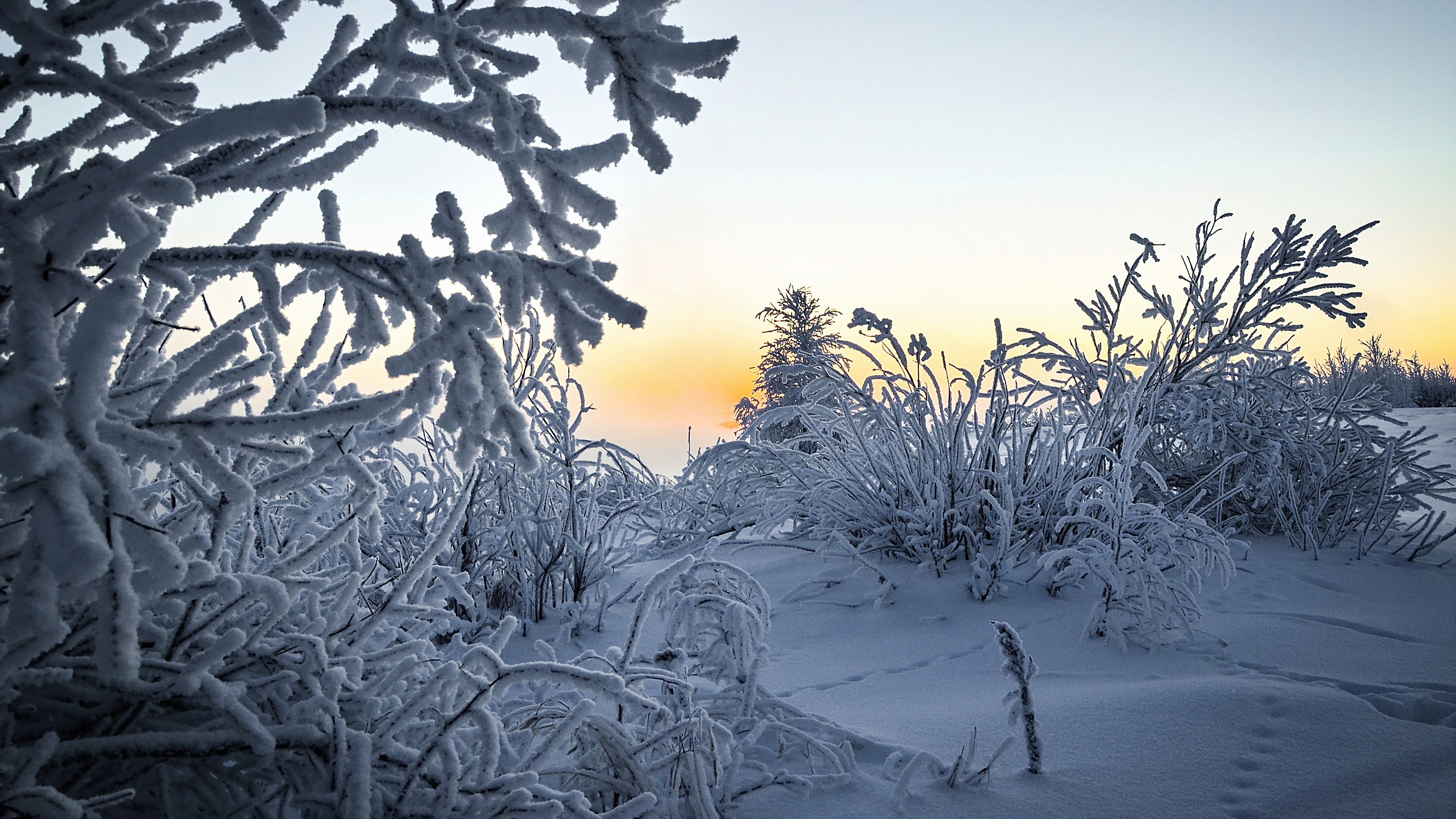 눈내린 겨울풍경 윈도우 고화질 배경화면과 바탕화면이미지 여기에 네이버 블로그