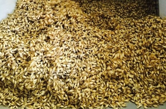 <b><p>A desire to calculate Mt flour Koan barley</p></b><b><p>算定望ましいストカル 麦芽粉 Korean大麦100％ 甘酒を作る 飴ジルウム 蜜</p></b><br /><br /><p align='center'>