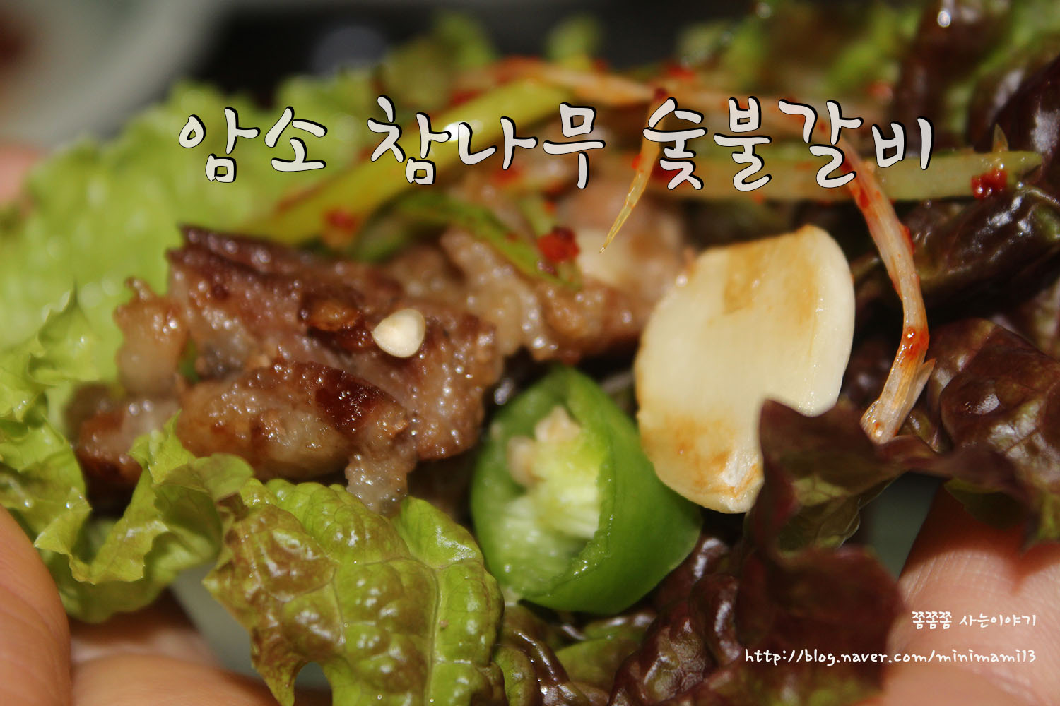 삼겹살전문점 추천 경남 산청군 오겹살 돼지껍데기 돼지뒷고기 항정살 통삼겹 한돈 목살 암소참나무숯불갈비