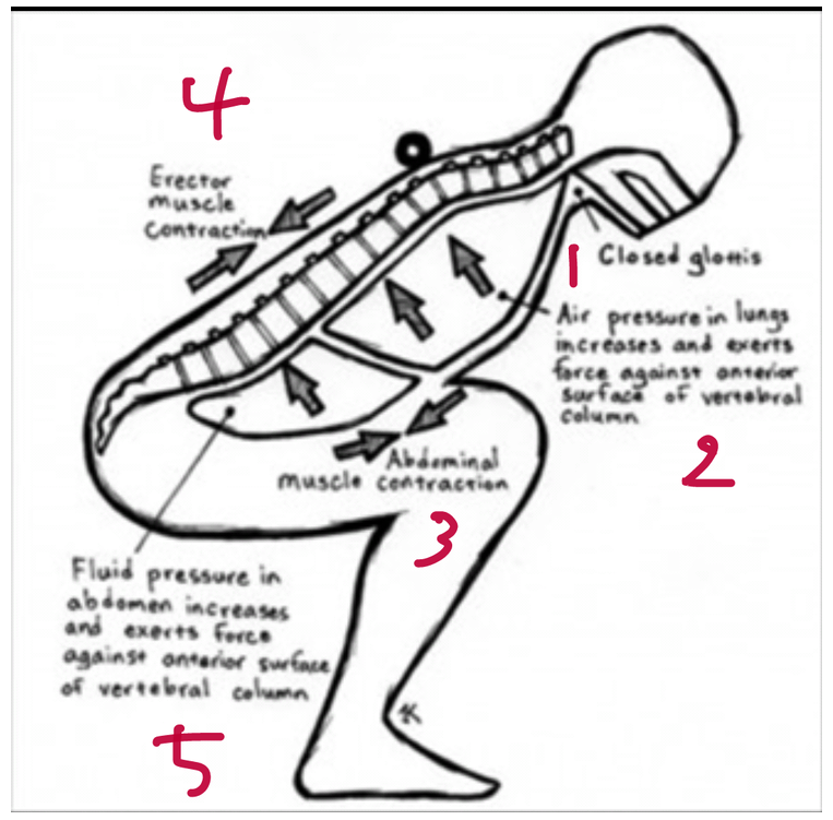 Valsalva Maneuver ( 발살바 수기 ) : 네이버 블로그