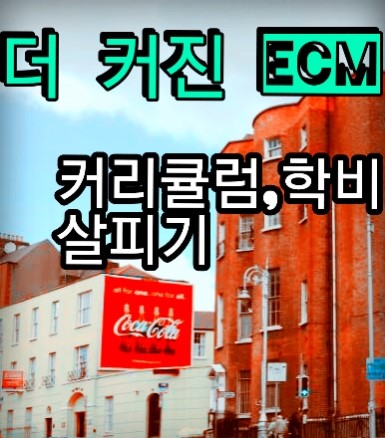 아일랜드어학연수 더블린 ECM 어학원 2016 - 블로그