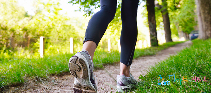 걷기다이어트! 걷기운동의 효과!