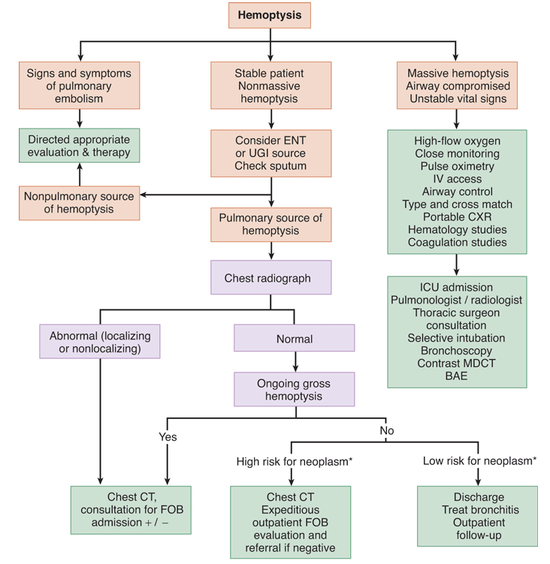 4 flow chart ifric 063 ìê¸ìí : ë¸ë¡ê·¸ ë¤ì´ë² Hemoptysis 4 flow chart ifric 063 ìê¸ìí : ë¸ë¡ê·¸ ë¤ì´ë² Hemoptysis