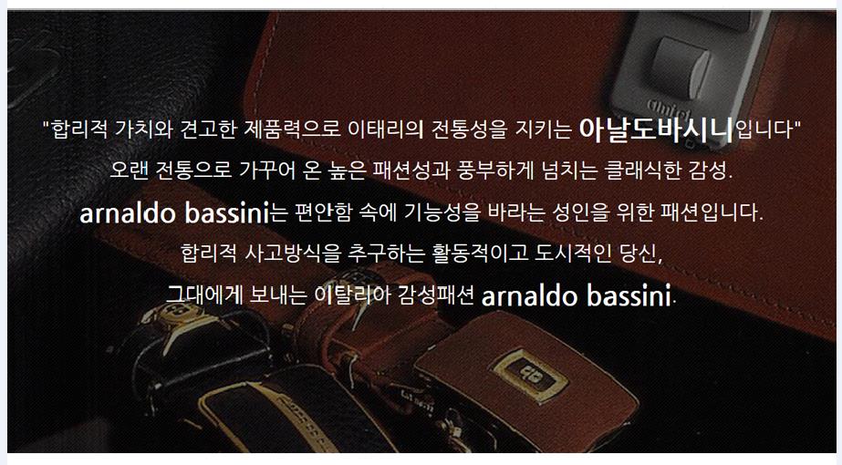 arnaldo bassini suitcase