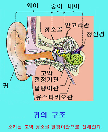 ±ÍÀDZ¸Á¶1.jpg