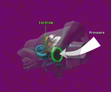 BDP_033.png