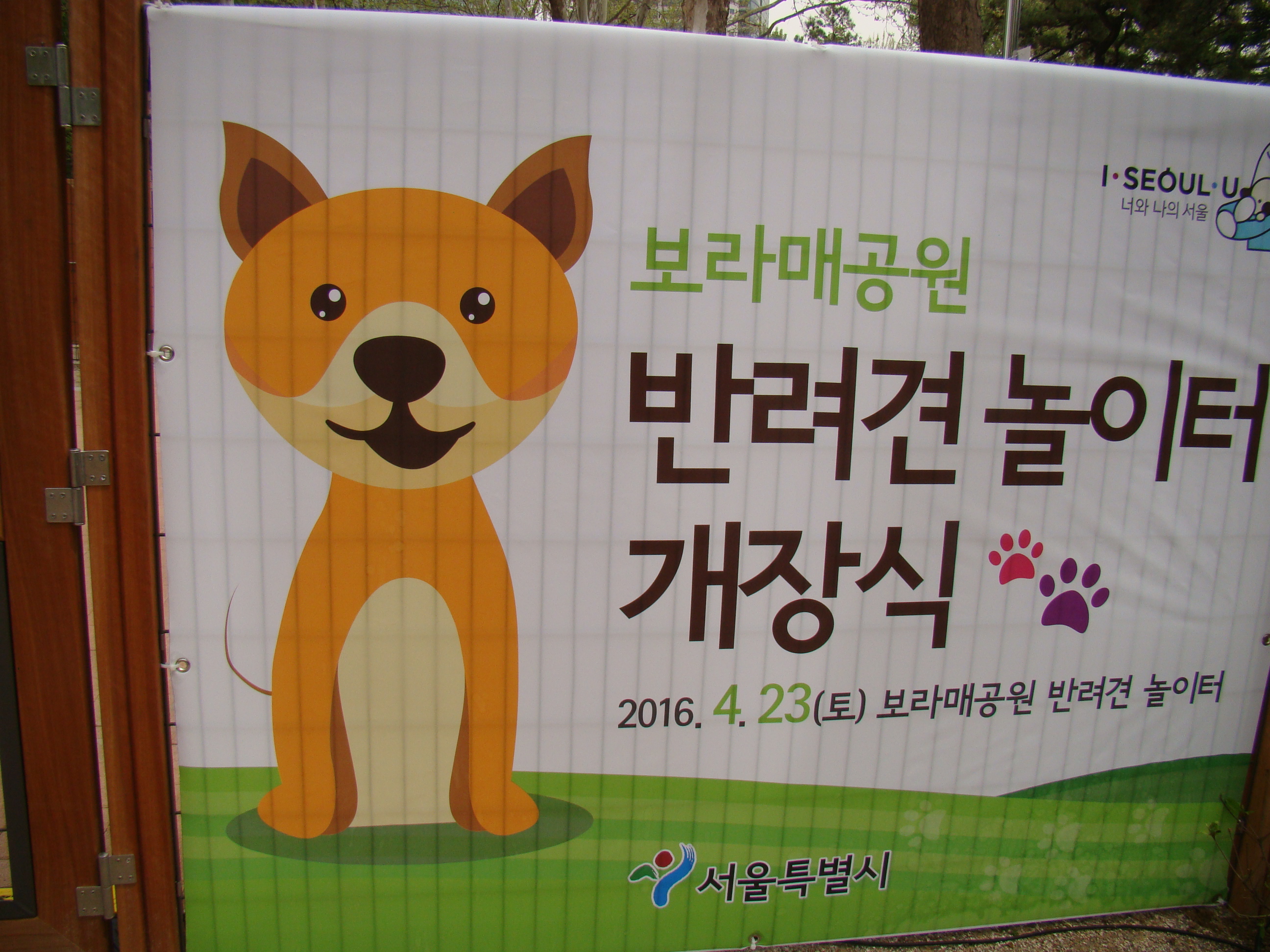 반려견공원앞공영주차장 산책