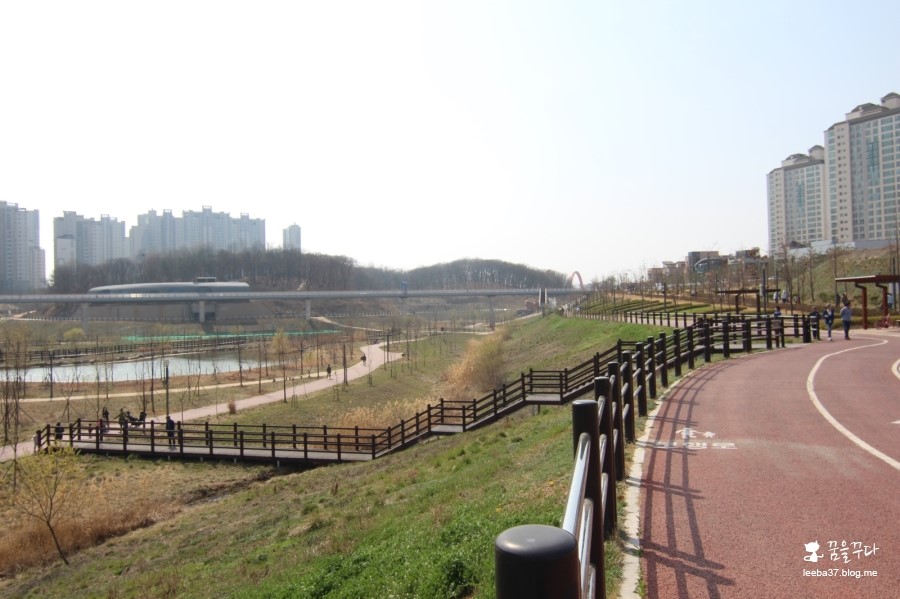 운정호수공원산책로 반려견 산책