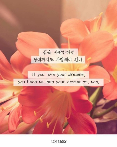 탯줄을 끊으며 인생을 시작한 상징 "배꼽이 알려주는 지혜 " // If you love your dreams, you have to love your obstacles, too. - ILCHI STORY - - 블로그