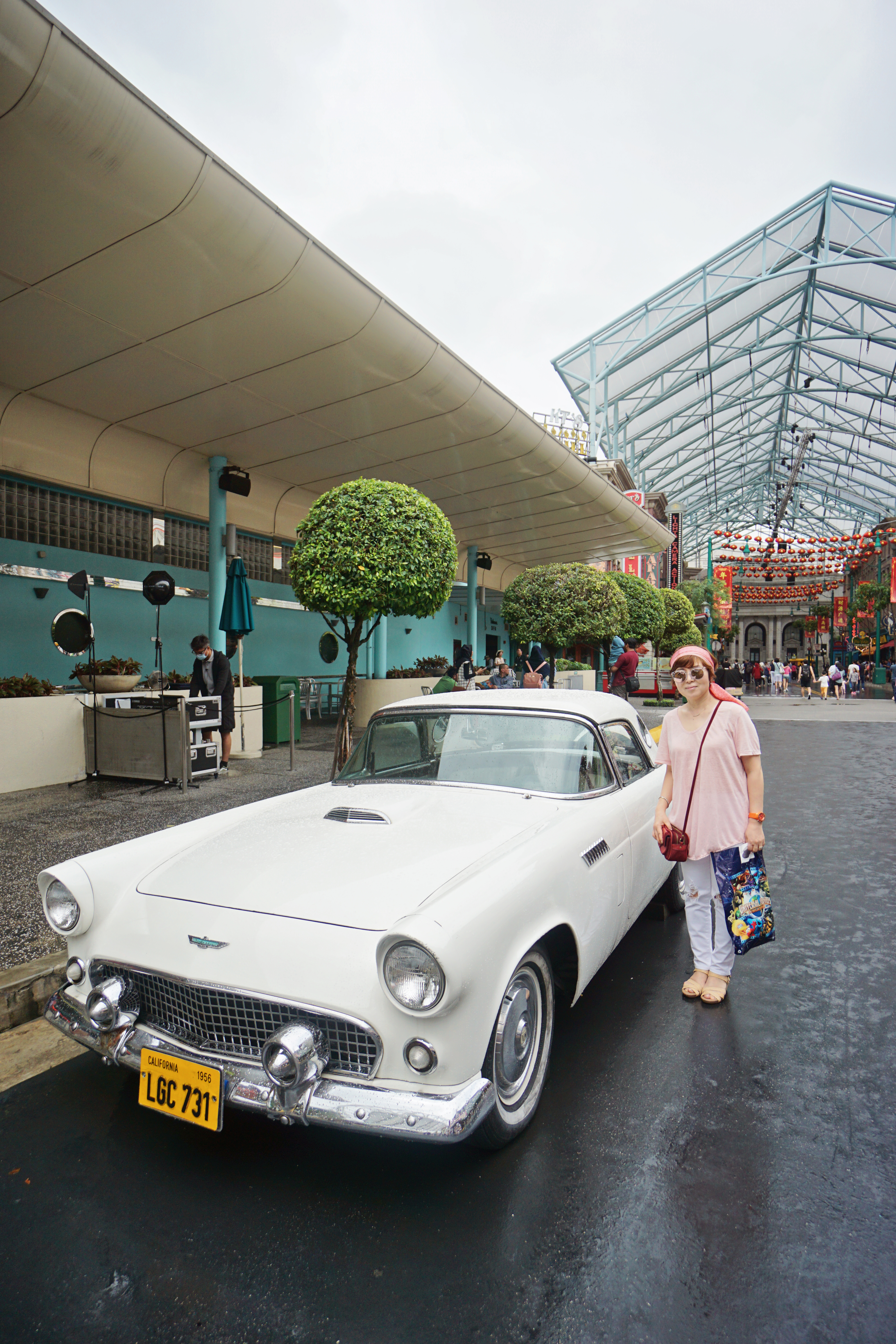 "universal park singapore"