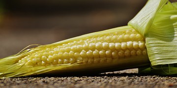 corn-1547888__180.jpg