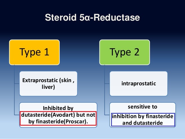 Dutasteride Vs Finasteride Bodybuilding