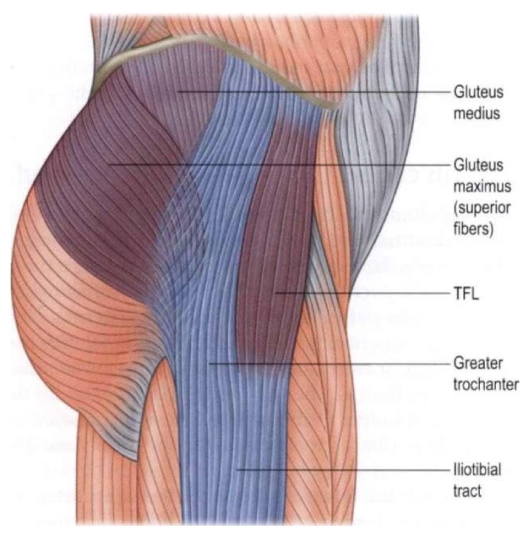 the-lateral-line-1