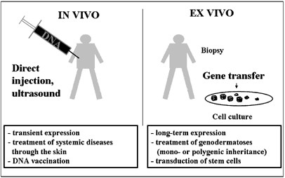 In Vitro, In Vivo, Ex Vivo 에 대해 : 네이버 블로그