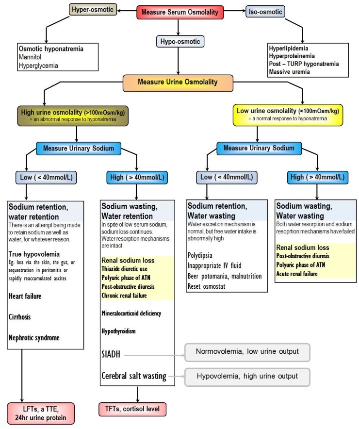 Hyponatremia Differential Diagnosis Chart