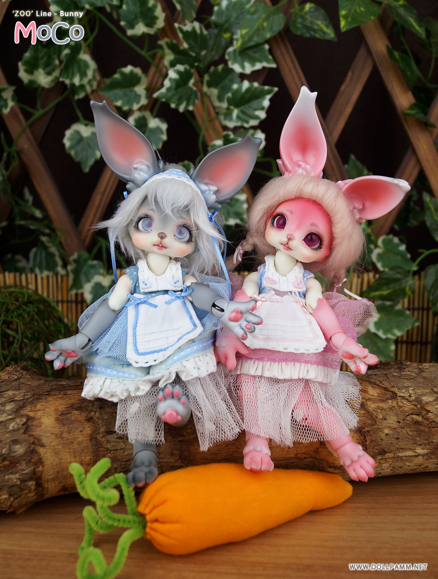 ReRelease - [DOLLPAMM] Zoo Series - MOCO&SIPO re-released! | new