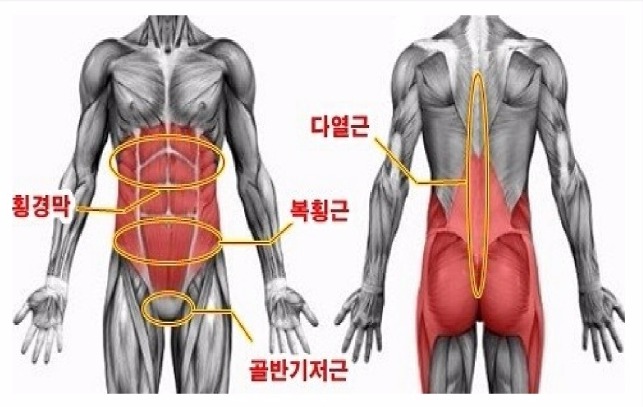 [셀프운동]복부살과 허리통증, 바른자세를 잡아주는 코어근육운동!