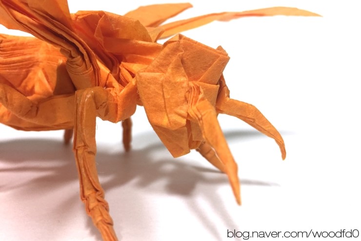 origami wasp 2.6 pdf