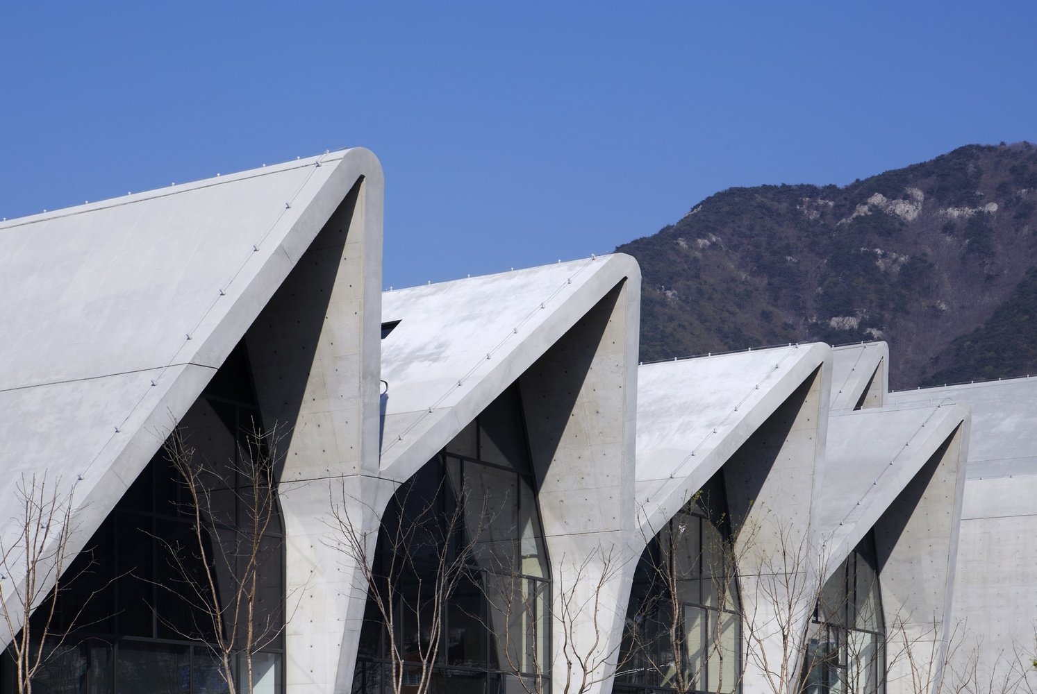 [건축]Design Strategy & Research Center - 블로그