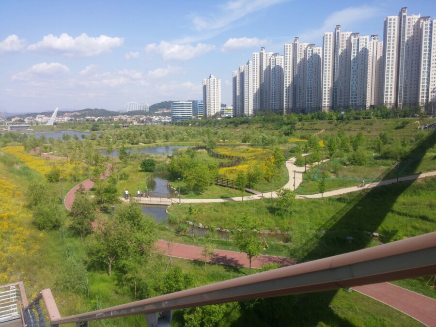 운정호수공원 산책