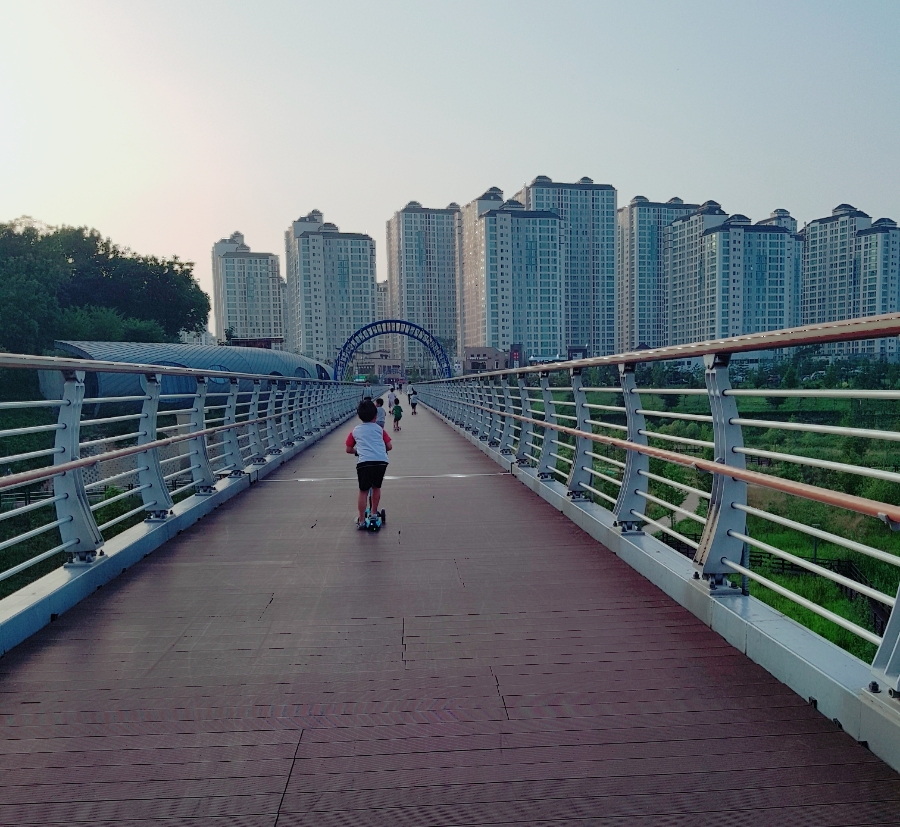 운정호수공원산책로 반려견 산책