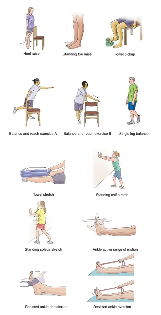 Metatarsal Fracture Rehabilitation Exercises Ankle Ex vrogue.co