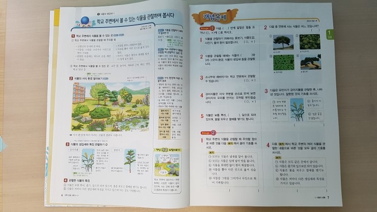 20170724_114309.jpg