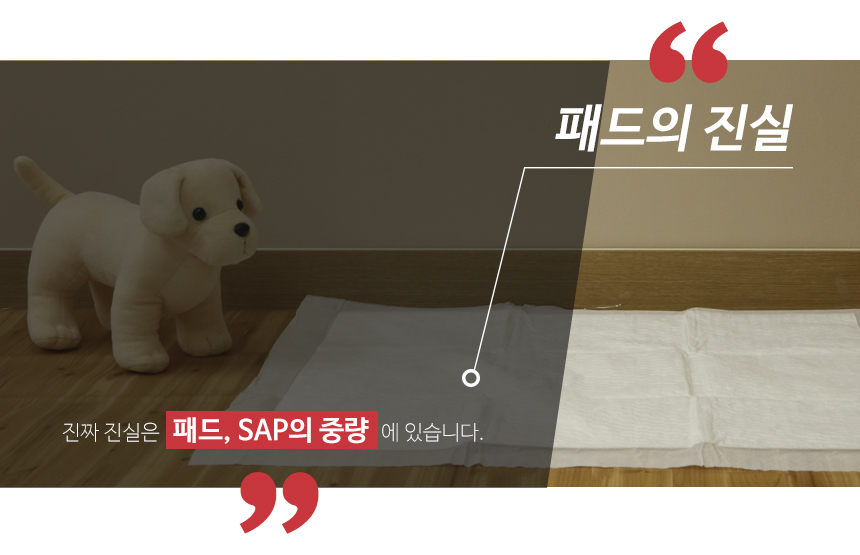 50 dog pet dog pet supplies recommended luxury dog