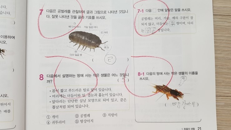 20170815_130803.jpg