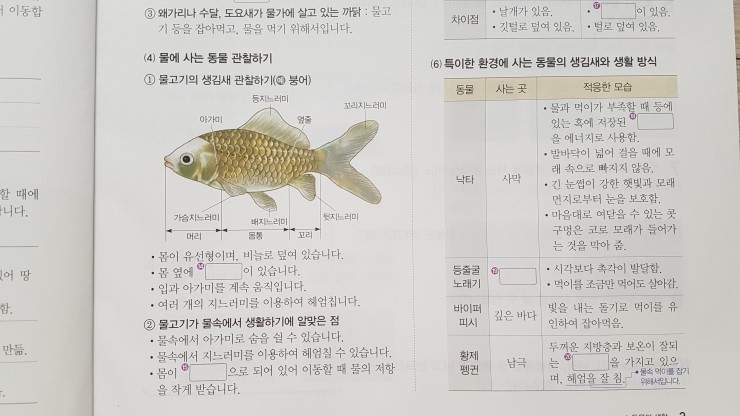 20170815_130957.jpg