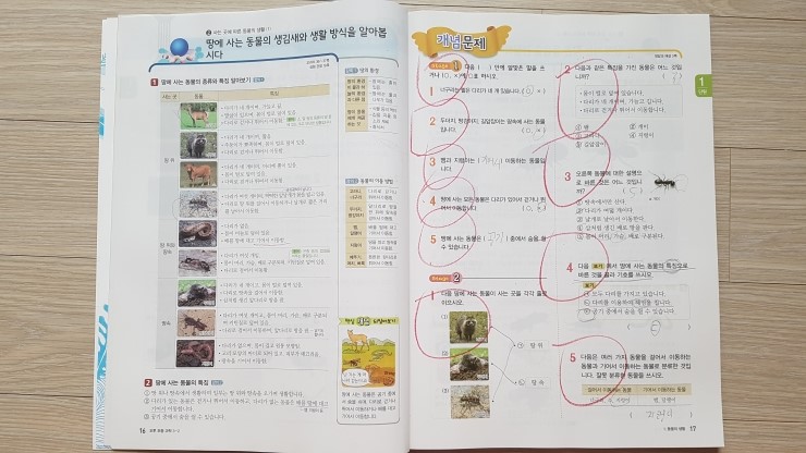 20170815_130628.jpg
