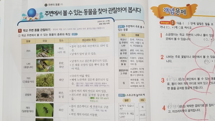 20170815_130602.jpg