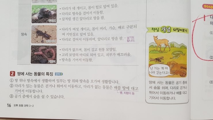 20170815_130634.jpg