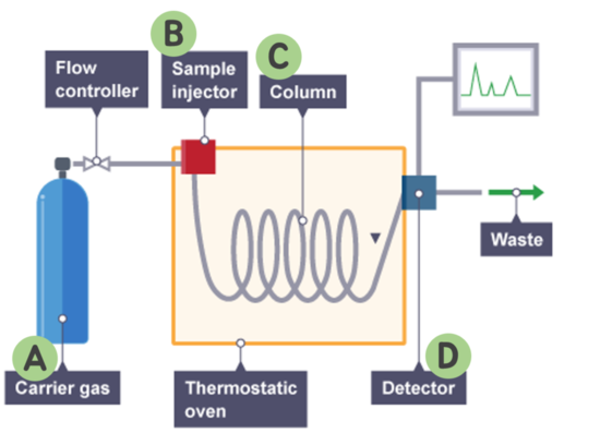 gas-chromatography-principle-instrumentation-and-method-in-detail