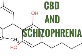 CBD 햄프오일 - 새로운 연구: CBD가 조현병을 치료할 수도 New Study: CBD May Help Treat Schizophrenia - 블로그