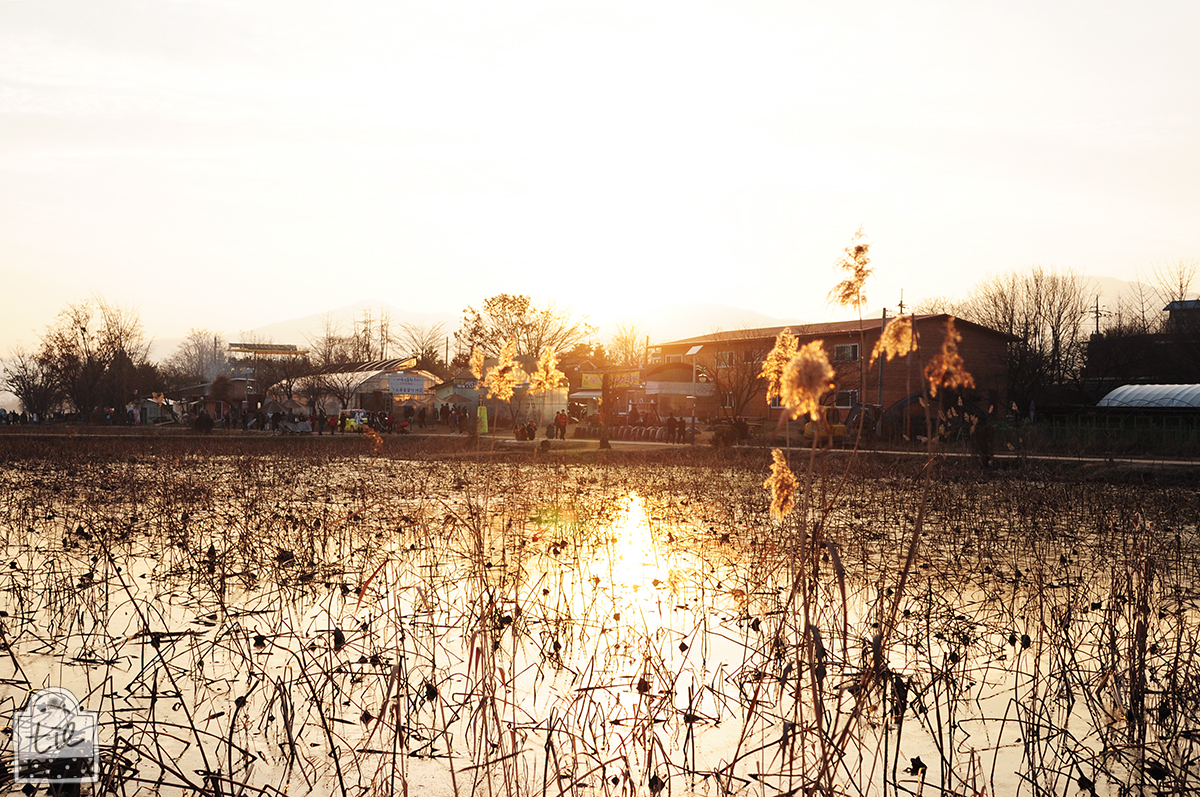 양평 두물머리; 서울 근교 드라이브코스 - 블로그