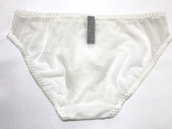 Plan U ★ Victoria's Secret Underwear wedding br