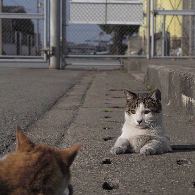 오늘하루 어때