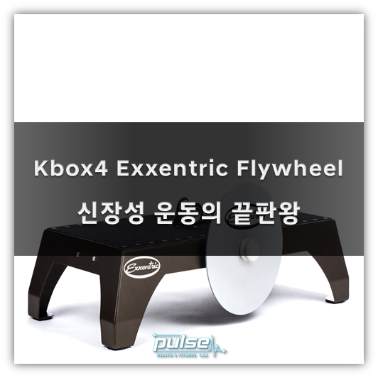 Kbox4 Exxentric Flywheel - 신장성 운동, Eccentric Exercise 끝판왕 - 블로그