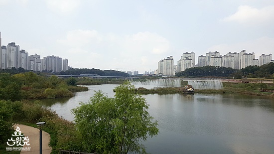 운정호수공원산책로 반려견 산책