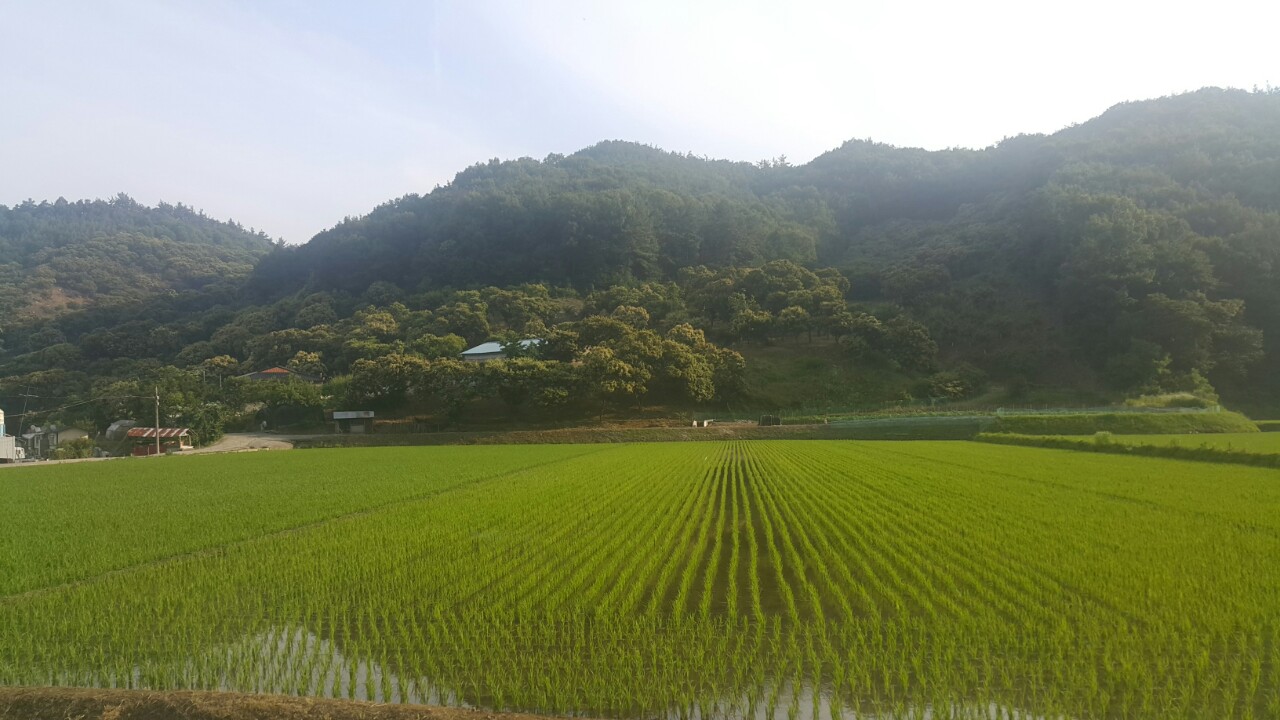 홍산관광농원캠핑장 이미지