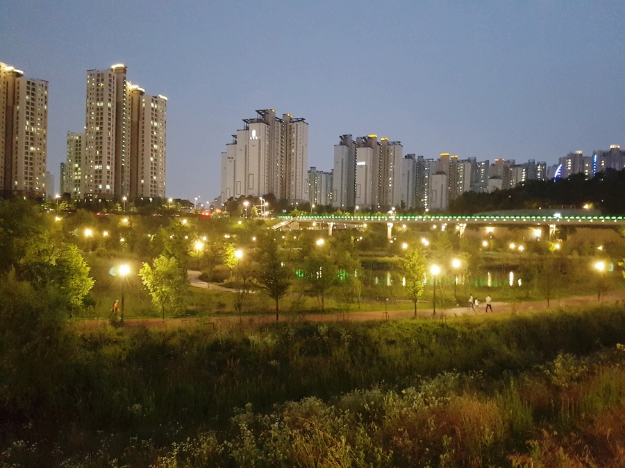 운정호수공원 산책