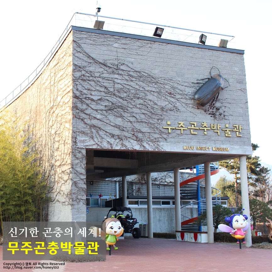 무주곤충박물관