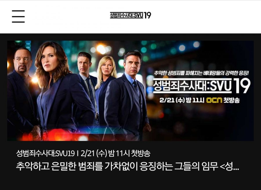 성범죄수사대 : SVU 19