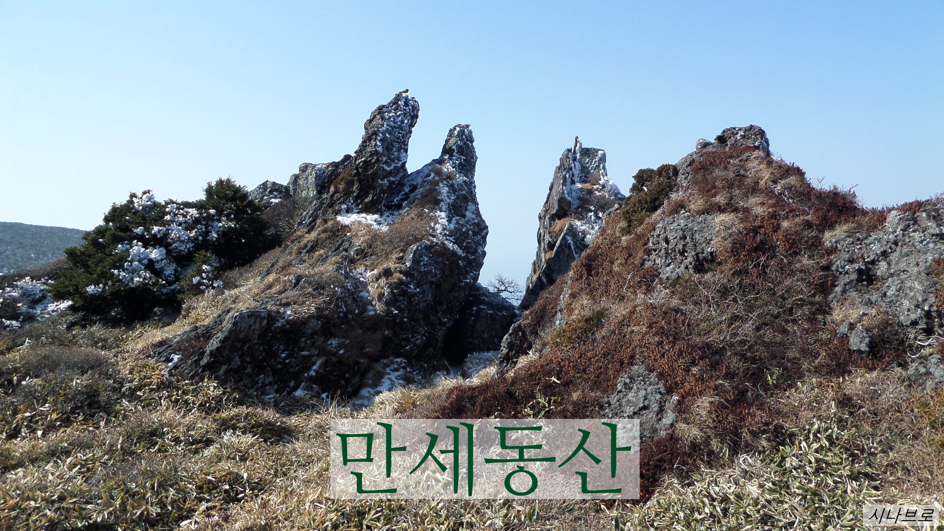 한라산어리목코스/만세동산 