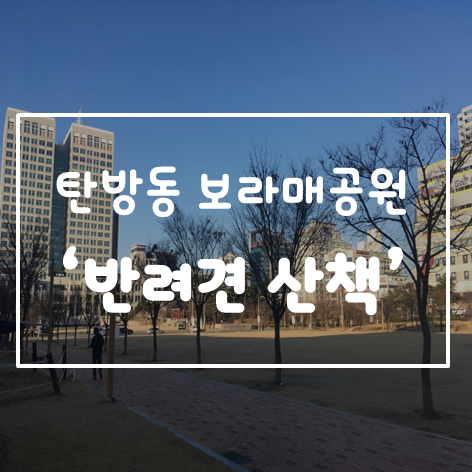 반려견공원앞공영주차장 산책