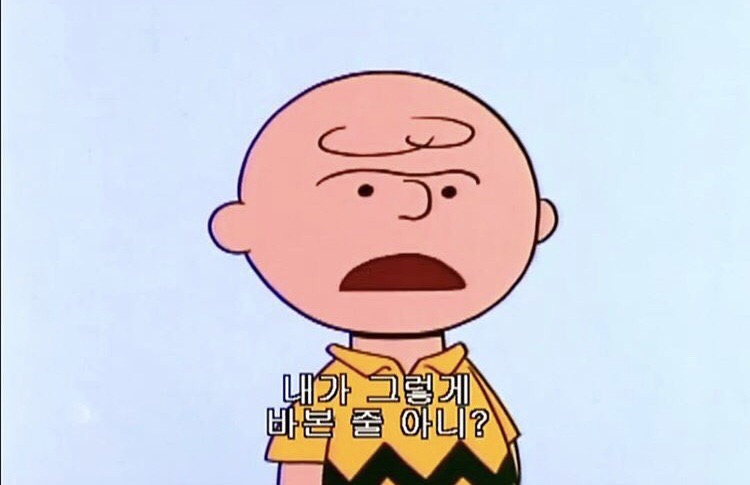 [바이가니 : BY GANI] 찰리브라운과 스누피 (The Charlie Brown And Snoopy) : 원제 피너츠 (Peanuts) 명장면 명대사모음