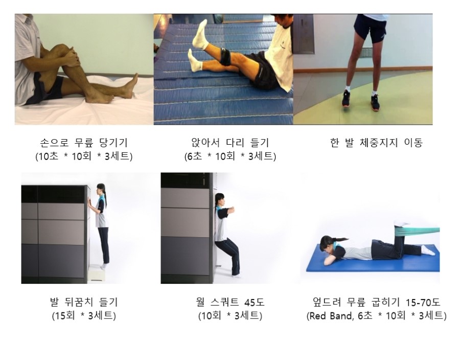 전방십자인대 파열 재건술 후 단계별 재활운동 ACL Rupture Recon Rehabilitation 네이버 블로그