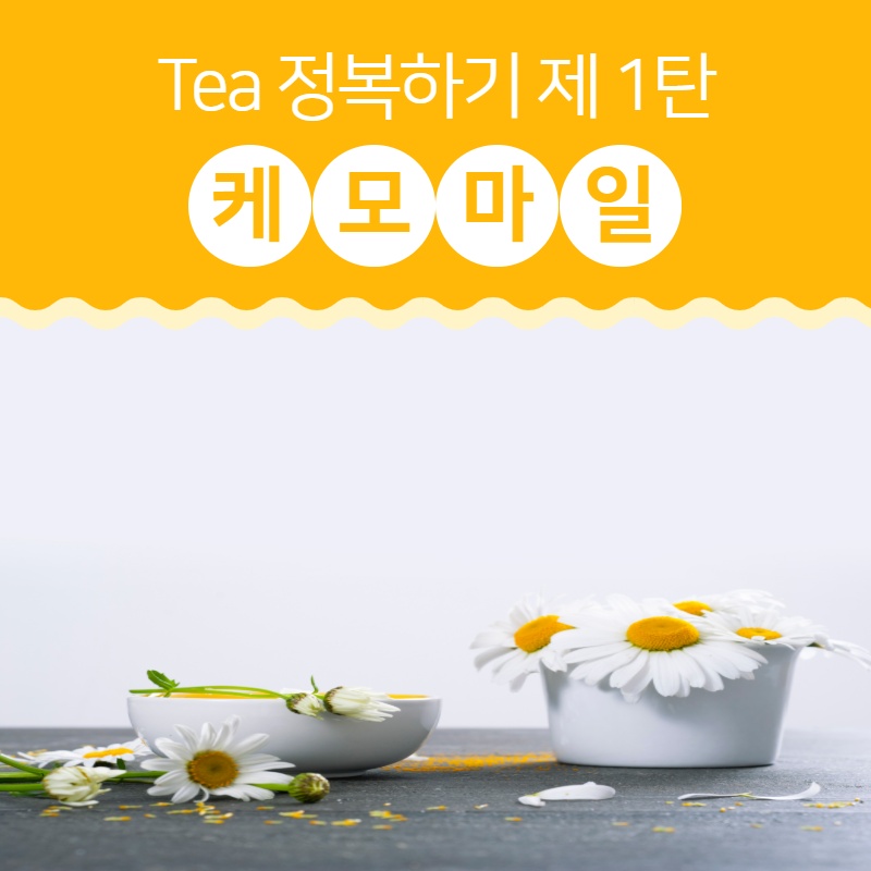 TEA 제 1탄 캐모마일
